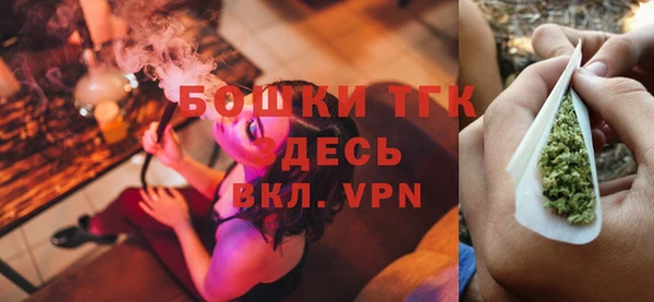 дживик Арсеньев