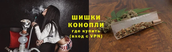 хмурый Нея