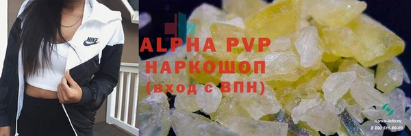 дживик Арсеньев