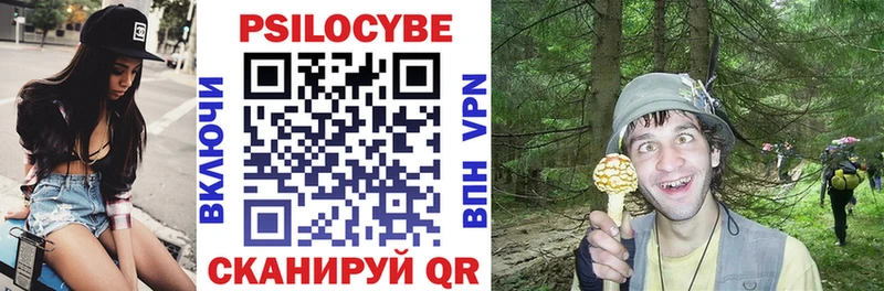 Галлюциногенные грибы GOLDEN TEACHER Тутаев